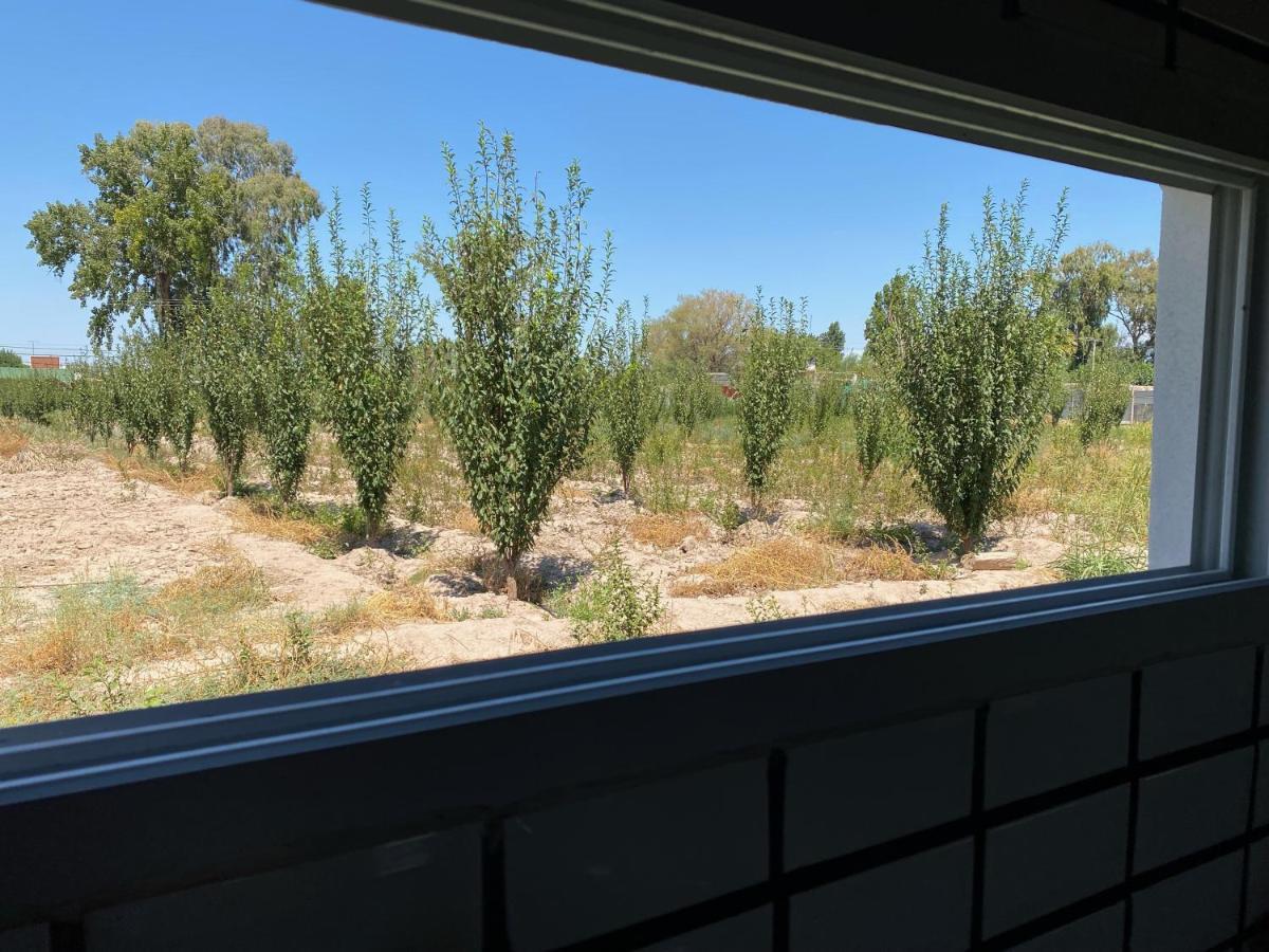 El Rincon Del Nene Villa Albardon ภายนอก รูปภาพ